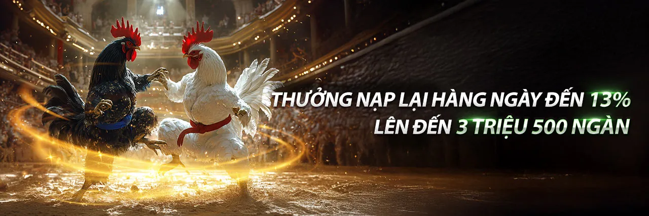 Đá Gà Trực Tuyến typhu88 app